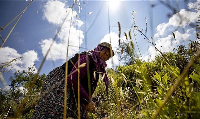 Bakan Yumaklı, 2025 Aile Yılı kapsamında orman köylülerine verilecek destekleri açıkladı