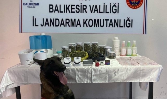 Balıkesir&#039;de jandarmadan kaçakçılık ve uyuşturucuya darbe: 81 şüpheliye işlem yapıldı