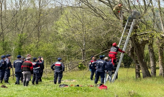 Bartın'da budamak için çıktığı ağaçta fenalaşan kişi öldü