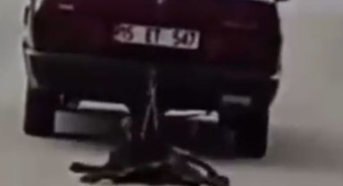 Burdur'da köpeği aracının arkasında sürükleyen şahıs tutuklandı