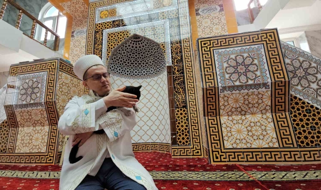 Camideki sadakat; kedisi Lola imamla beş vakit camiye geliyor