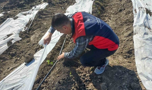 Çanakkale'de zirai donun ardından hasar tespit çalışmaları