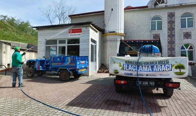Canik'te kahverengi kokarca ile mücadele