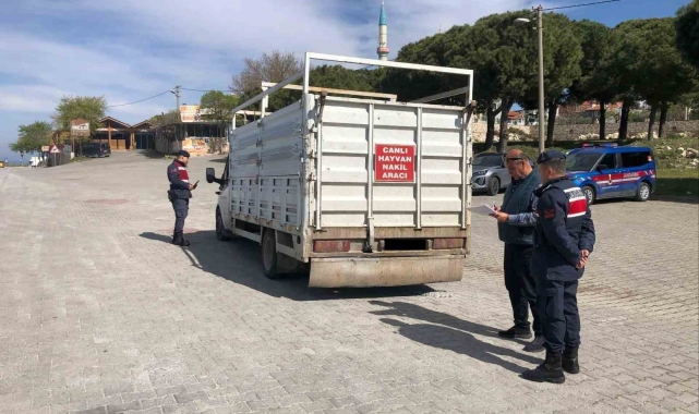 Canlı hayvan taşıyan araçlar denetlendi