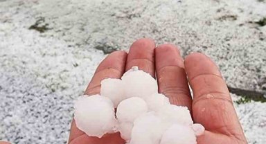 Ceviz büyüklüğünde yağdı, meyve ağaçları zarar gördü