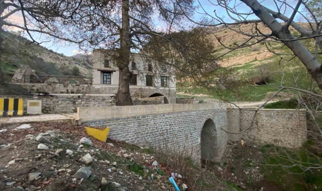 Diyarbakır'da 485 yıllık Atak Ulu Cami'nin bakımsızlığı dikkat çekiyor