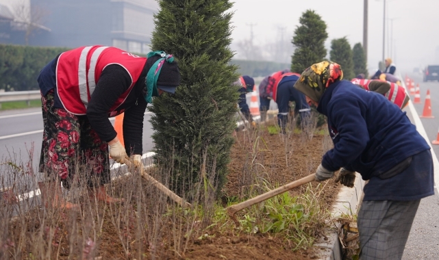 Düzce'de 14 bine yakın bitki dikildi