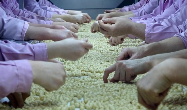 Düzce&#039;de AB ülkelerine 8 bin 374 ton gönderildi