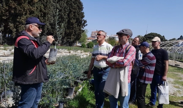 Edremit'te zeytin budama kursu uygulamalı eğitimle tamamlandı