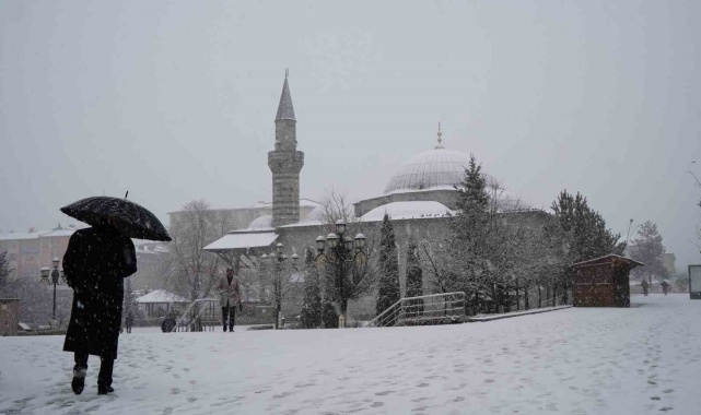 Erzurum'da kar yağışı etkili oluyor