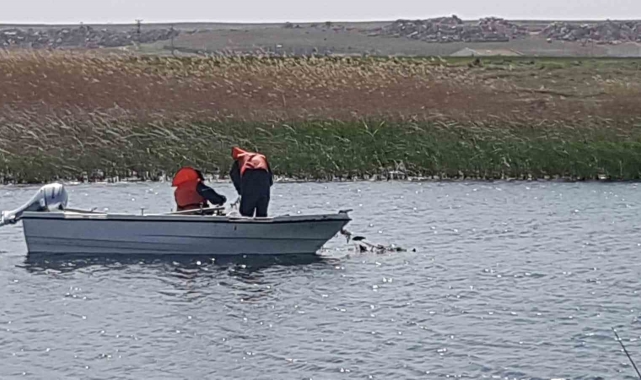 Eskişehir'de istilacı balık türleri ile mücadele