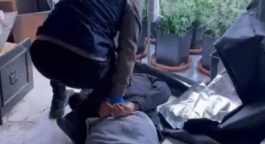 Evini uyuşturucu serasına çevirdi