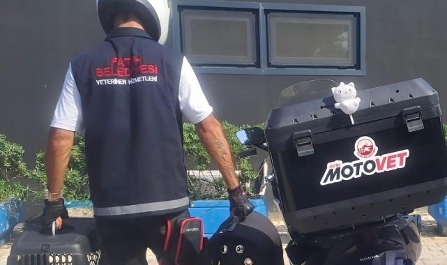 Fatih Belediyesi'nden doğaya can: Motovet ekibi yaralı kanatlıları hayata kazandırıyor