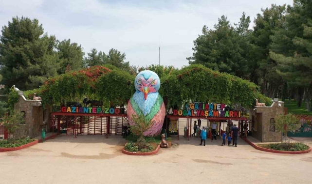 Gaziantep Doğal Yaşam Parkı'na "Afrika Savanı" ve "Yırtıcı Adası" geliyor