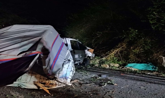 Giresun'da uçuruma yuvarlanan kamyonetteki 1 kişi öldü, 1 kişi yaralandı