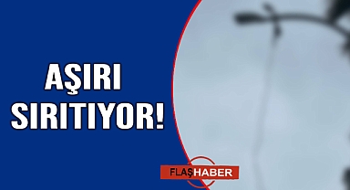 Gözlerden kaçmadı