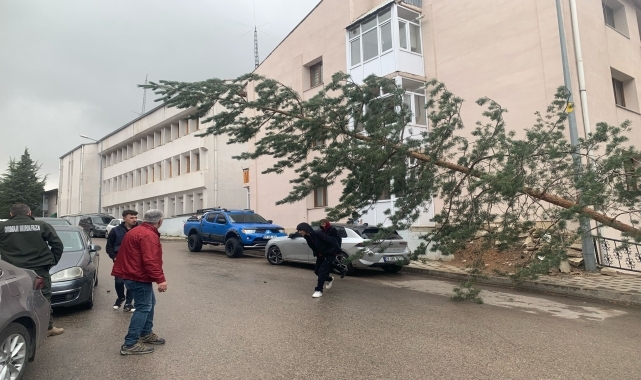 Gümüşhane'de fırtına etkili oluyor