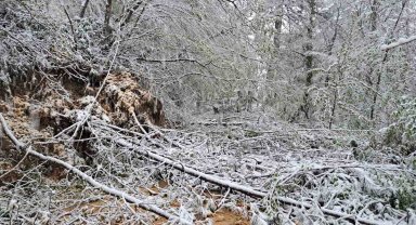 Heyelandan kapanan yol yeniden ulaşıma açıldı