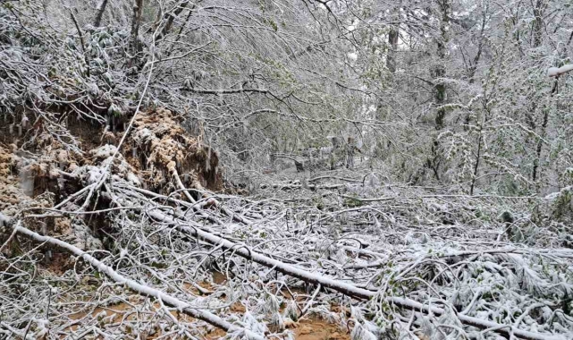 Heyelandan kapanan yol yeniden ulaşıma açıldı
