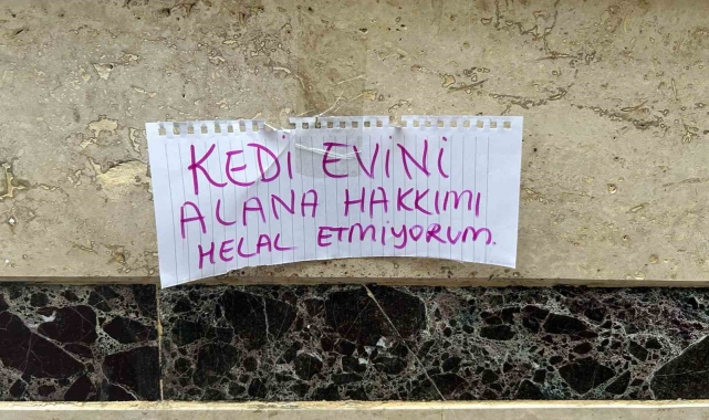 Kedi evini çalanlara hakkını helal etmedi