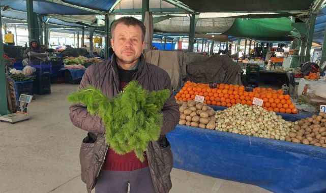 Kendiliğinden yetişen çaşır otu yok satıyor
