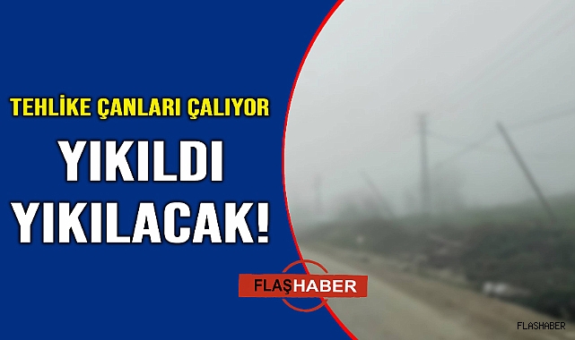 Kimse bakmayınca bu hale geldi