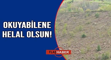 Kimse dikkat etmeyince işte bu hale geldi