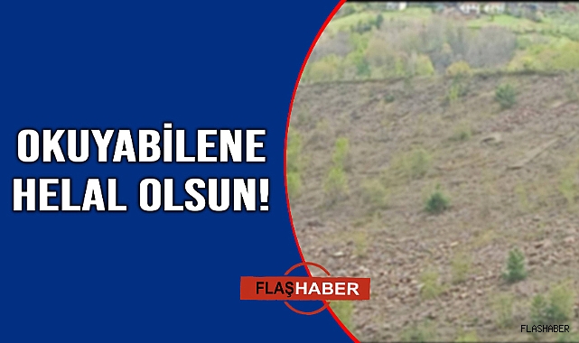Kimse dikkat etmeyince işte bu hale geldi