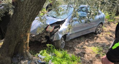 Köpeğe çarpmamak için kaza yaptı