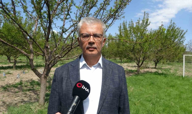 Malatya'da yüzyılın en büyük zirai ürün kaybı