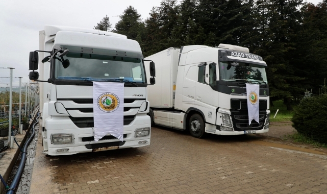 Ordu'dan Azerbaycan'a 7 bin 200 adet fidan gönderildi