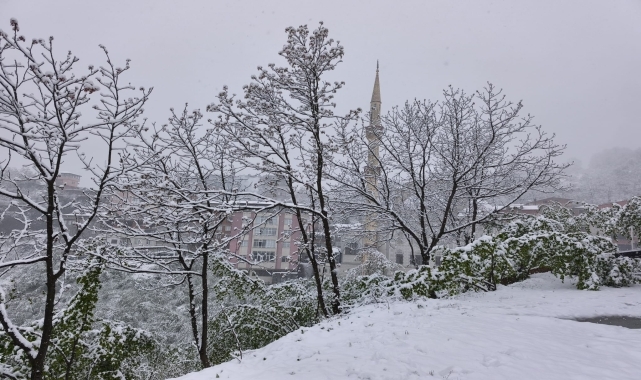 Ordu'nun yüksek kesimlerinde kar etkili oluyor