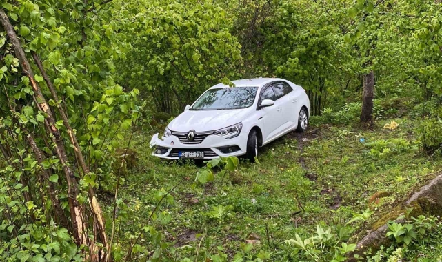 Ordu'da otomobil fındık bahçesine uçtu