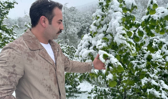 Ordu'nun yüksek kesimlerinde kar yağışı: Fındık üreticileri tedirgin oldu