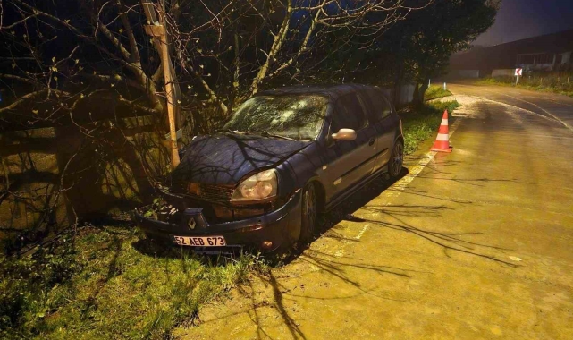 Otomobil elektrik direğine çarptı: 3 yaralı