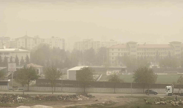 Şanlıurfa'da ve ilçelerinde toz taşınımı hayatı olumsuz etkiliyor