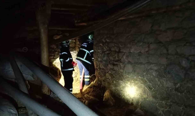 Siirt'te ahır yangını