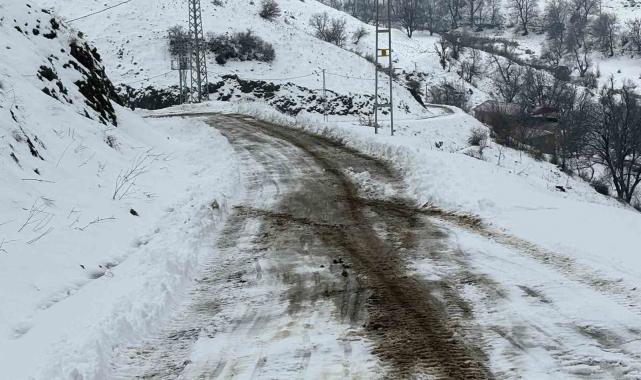 Siirt'te kardan kapanan köy yolu ulaşıma açıldı