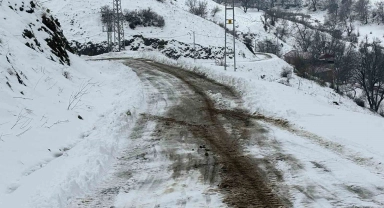 Siirt'te kardan kapanan köy yolu ulaşıma açıldı