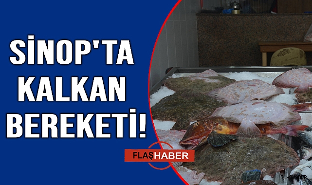 Sinop'ta ağlara takılan kalkan balıkçının yüzünü güldürdü