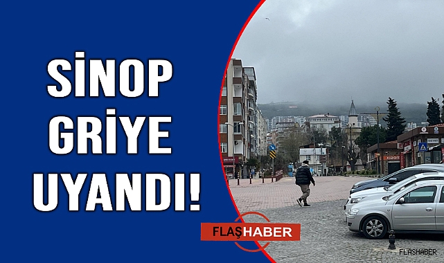 Sinop'ta sis etkili oldu