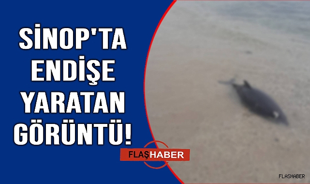 Sinop'ta üst üste yaşanan ölümler dikkat çekiyor!