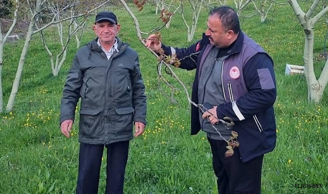 Sinop'ta zirai don tehlikesine karşı çiftçiler bilgilendiriliyor