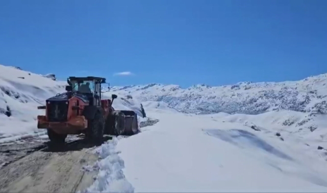 Şırnak'ta kar 25 santimi geçti