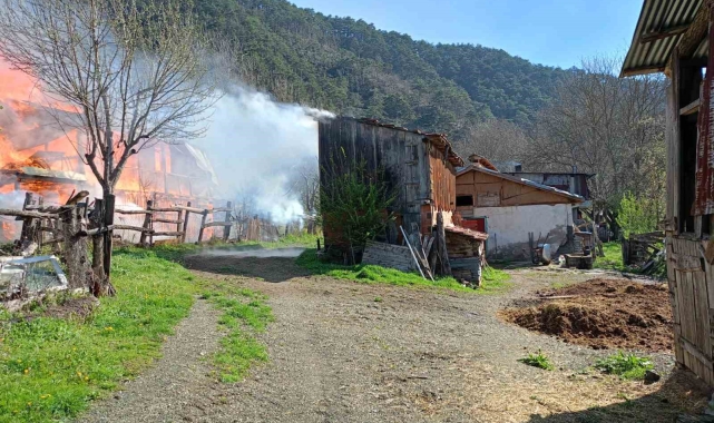 Sobadan çıkan yangın evi küle çevirdi
