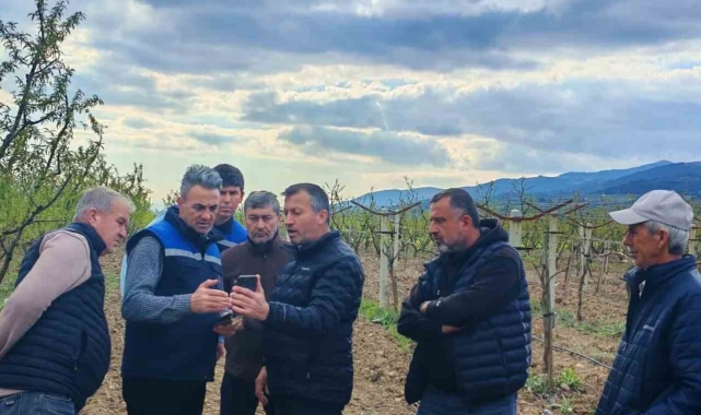 Tarım alanlarındaki zirai don hasarı inceleniyor