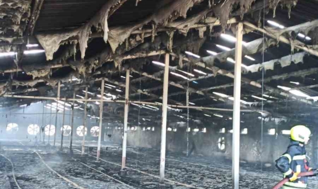 Tarsus'ta tavuk çiftliğinde yangın