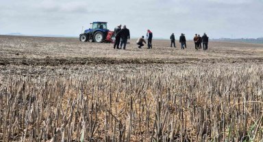 Tekirdağ'da anıza ekim dönemi: Anıza ekim Türkiye'ye örnek olacak