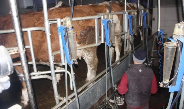 Ticari süt işletmelerince 857 bin 821 ton inek sütü toplandı