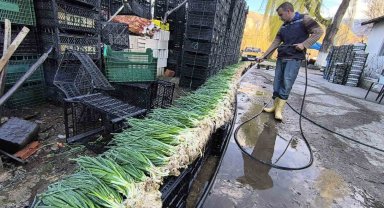 Uzundere'de seralarda üretim yeniden başladı